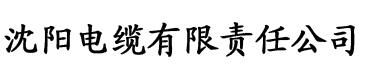 搭讪素人拍A片电缆厂logo